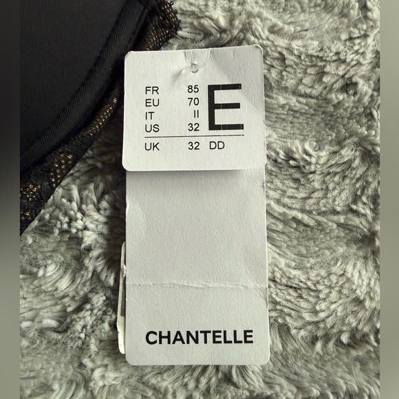 Chantelle Rive Gauche Full Coverage T-Shirt Bra 32DD NWT - Picture 6 of 7